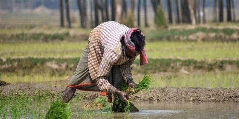 नॅशनल मराठी न्यूज़